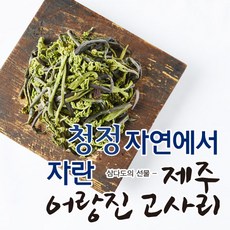 제주어랑진고사리(일반) 23년 제주 어랑진 햇고사리 300g*5팩_일반, 300g, 5개