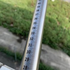 막대자 스테인레스 원통형 소도 자 몰리브덴 바나듐 수심 용지, 3MM 직경 100MM 길이 솔리드, 1개