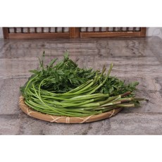 다디단 무농약 청도 한재 미나리 1kg 1개