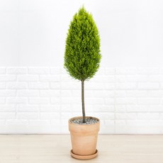 2e090b835d2db0fdfc9238c5927c09e2736d38da8be243f060e9a5f6b8c7.jpg