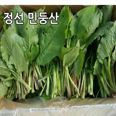 곰취 곰취나물 강원도 정선 민둥산 노지재배 생곤드레 곤드레나물, 1박스, 곤드레나물 4kg