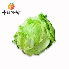 [우리가락]양상추 12개 한박스