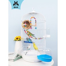 다이와타코이카리그