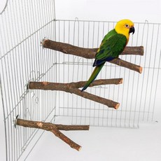 새장악세서리 새장용품 새장꾸미기 새 액세서리 케이지 스틱 나무 물건 스탠드 나뭇 가지 15 20 1 개, 1개, 20cm