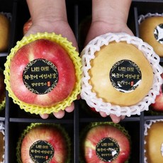 사과배 혼합 선물세트 사과5 배4, 1개
