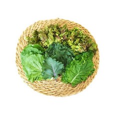 [오창농협] 친환경 쌈채소 200g, 상세 설명 참조