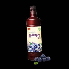 무배 광야 블루베리 베이스 970ml 과즙 93000EA, 1ml
