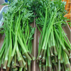 미나리 홍미나리1kg, 1kg