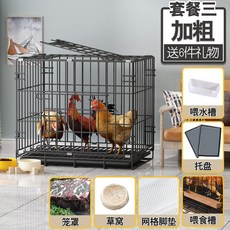 간이팩케이지