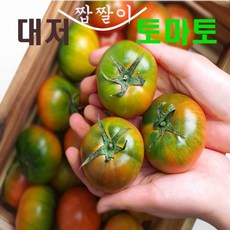  부산 대저 토마토 짭짤이 2.5kg [산지직송] 파머프레쉬 대저토마토 2.5kg L 1개  상품 이미지