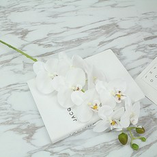 중형 화이트 호접란 꽃 조화 원예 인테리어 장식 소품, 단품