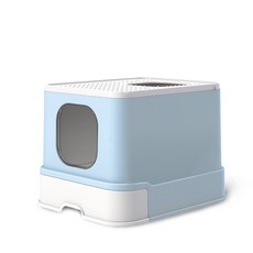 사막화