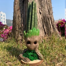 //상품명