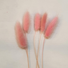 밍블랑 셀프인테리어 디퓨저재료 모음 DIY 디퓨저 공병 섬유스틱 리필오일 디퓨저스틱, 1개, 라그라스 연핑크5개