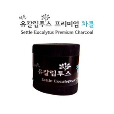 세틀 유칼립투스 카본 [절단차콜 M], 1개