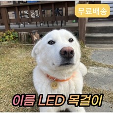 우디클랜 LED 이름 각인 목걸이, 원형, 그린