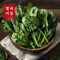 100%국내산 남해시금치 친환경보물초, 1박스, 500g