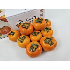 씨없는 청도반시 소 중소 중 대, 1개, 소 5kg(41-45입)