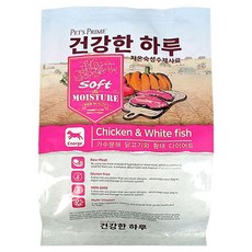 새끼강아지이유식