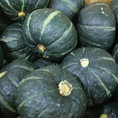 뉴질랜드 청정지역 단호박 10kg (6-8수), 1박스