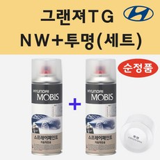 nw1xm910