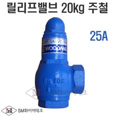 유일정밀 릴리프밸브20kg 주철 25A, 1개
