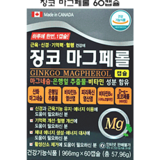 징코 마그페롤 60캡슐(2개월) / 은행잎추출물 산화마그네슘 비타민B1 비타민B12 기억력 혈행