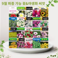 솔림텃밭몰 9월 파종 가능 꽃 야생화 씨앗 모음, 30. 붓꽃 200립, 1개
