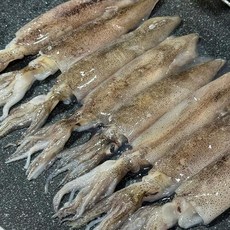 (산지직송) 자연산 총알한치 급냉 생물 통찜 한입한치 1kg, 3개, 500g (15-25미)