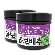 퓨어영 국산 곰보배추 가루 분말 200g, 2통