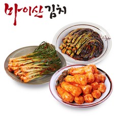 마이산김치 [한국농협김치] 전북대표 마이산 3종10호(갓김치1kg+파김치1kg+총각김치1kg)