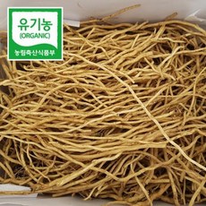 이노메싸트로야목마