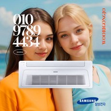 삼성 천장형 에어컨 무풍 인버터 시스템 에어컨 6평 냉방기 (AC023CS1DBC1SY), AC023CS1DBC1SY