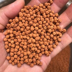 4e285f96ccf901b9289de2876da44672567d3789423da690a99076c2c011.jpg