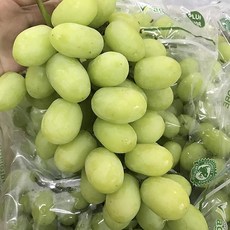 미국산 고당도 애플청포도 1-2kg 옵션선택, 1팩, 애플청포도1kg