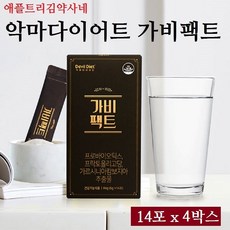 가비몸매
