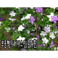 7c36fbf98bb112fde162613daee278d7be4f99b5568bb0f8f1754093fa40.jpg