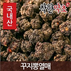 개부처손