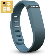 핏빗 플렉스 스마트 밴드 Fitbit Flex 스테이트, 단품, 단품