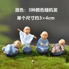 다육이와꼬마정원