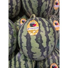 (과일천국1번지) 고당도 미니 수박 (3kg ~ 이상) - 2통, 2개