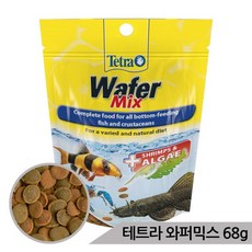 비파먹이