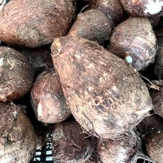 곡성 햇 생토란 흙토란 알토란 깐토란 3kg, 1박스, 3kg(특)
