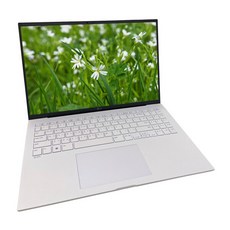 LG전자 2026 그램 Pro AI 17 코어Ultra5, 17Z90U-GS5WK, 512GB, 16GB, WIN11 Home
