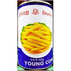 영콘