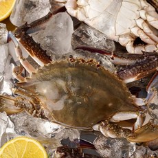 자연맛남 [벌크맛남] 벌크 급냉 숫꽃게 총10kg 소(게장/해물찜/탕용), 1개