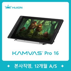 휴이온kamvas16
