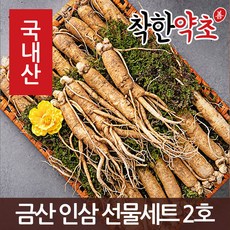 착한약초 금산 인삼 50종 수삼 삼계용 인삼주키트 선물세트, 1개, 1IC8_금산 인삼 고급 선물세트 2호