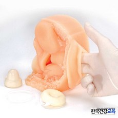 성교육용품-여성피임교육모형(실리콘재질) 직접실습가능ㅣ학교보건교육자료