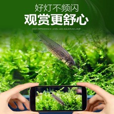 dec9e579e1ed6980f06655b4fbb2f3dbf7335feec0fa4a8b42ce4dd618a7.jpg